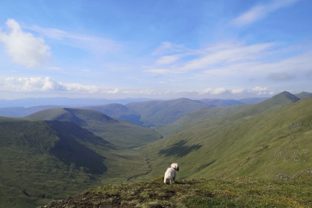 Ben Chonzie, Photography by Gilly Campbell